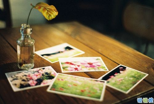 獨(dú)一無(wú)二朋友圈個(gè)性說(shuō)說(shuō)帶圖片 感謝相識(shí)不計(jì)消失回頭是狗8