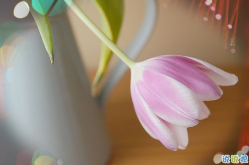 女生跟男朋友撒嬌的說說帶圖片 女生寫給男生的可愛情話14