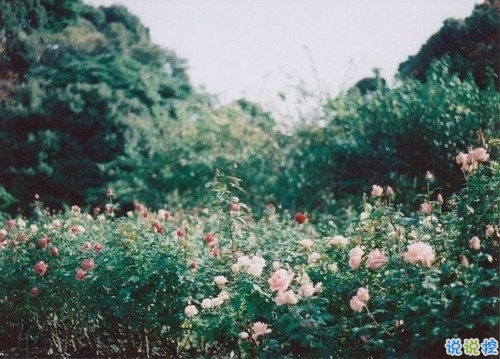 2018再見2019你好勵(lì)志說(shuō)說(shuō)致自己帶圖片 送給自己的2019說(shuō)說(shuō)超勵(lì)志2