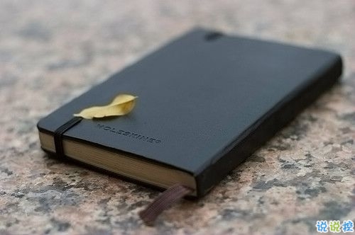 物是人非的愛情句子 愛情中有些憂傷心酸的句子2