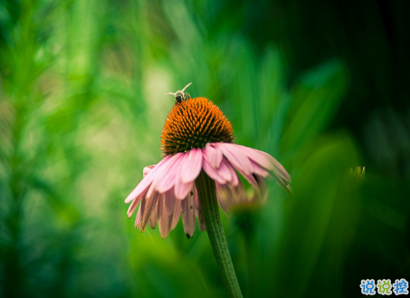 微信朋友圈治愈系早安心語說說 溫暖小清新早安說說大全8