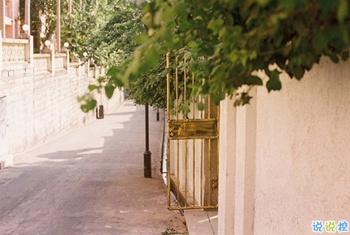 向來緣淺奈何情深的傷感句子 特別傷感的句子大全句句扎心1