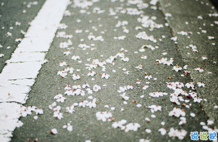 最火情侶說說秀恩愛短句帶圖片 超級喜歡一個人的說說13