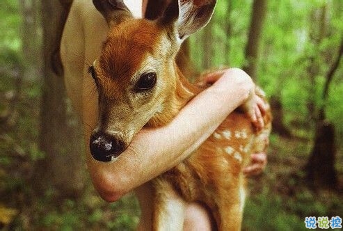 突然不喜歡一個(gè)人/放棄一個(gè)人是一種什么樣的感受？10