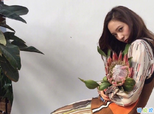 適合女生發(fā)微博的傷感說(shuō)說(shuō)加圖片 哪一句觸碰到你內(nèi)心深處8