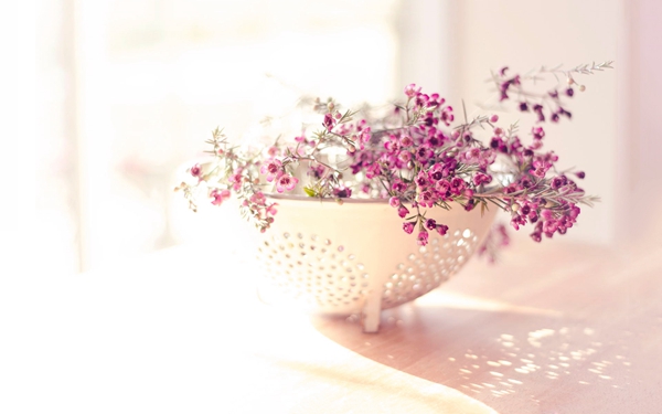 2019谷雨微信祝福語(yǔ)說(shuō)說(shuō) 谷雨快樂(lè)心情說(shuō)說(shuō)大全1