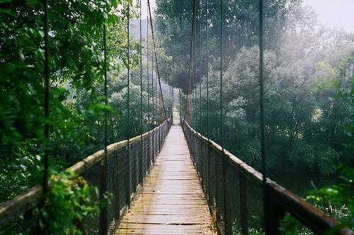 關(guān)于成長(zhǎng)人生和愛情的美到讓人心碎的說說帶圖片13