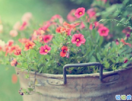 感到心痛的傷感愛情說說配圖 痛到心在滴血的說說帶圖片6