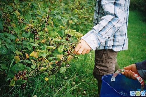 激勵我們在人生之路上繼續(xù)走下去的勵志句子 很正能量陽光的句子2