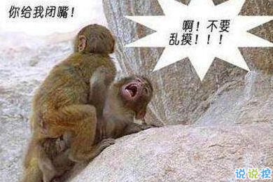 有意思的圖片加說(shuō)說(shuō) 適合發(fā)朋友圈的搞笑段子圖片10