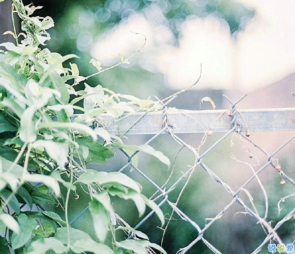 關(guān)于一個人旅行的精辟哲理說說帶圖片 每一次旅行其實都是一場修行4