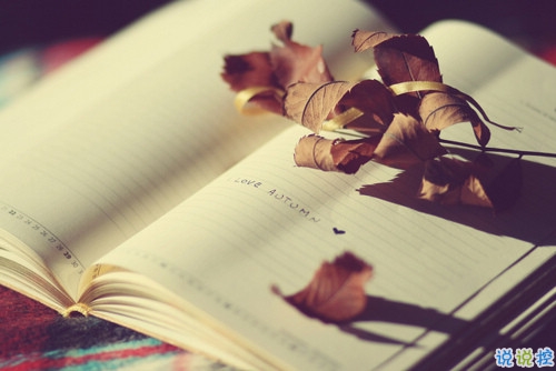 青春文藝說說帶圖片大全唯美 感情經得起風雨也要經得起平凡2