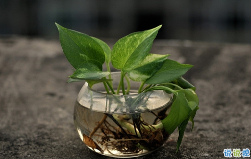 女生唯美傷感說(shuō)說(shuō)帶圖片 一句話描述心情不好的說(shuō)說(shuō)10