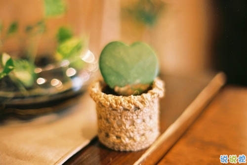 有些傷感的關(guān)于人生和成長的說說帶圖片 生活的本質(zhì)就是離別14