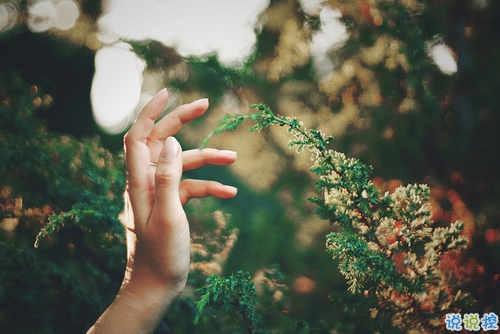 qq空間勵(lì)志說(shuō)說(shuō)帶圖片2019 00后都愛(ài)的勵(lì)志句子年輕人必備8