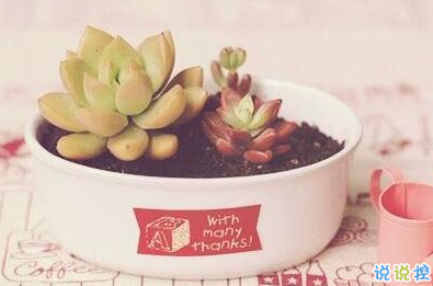 承蒙你出現(xiàn)，夠我喜歡好多年11