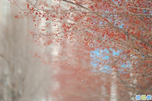 讓人溫暖的說(shuō)說(shuō)大全很有安全感 適合向女生表白的暖心說(shuō)話(huà)2