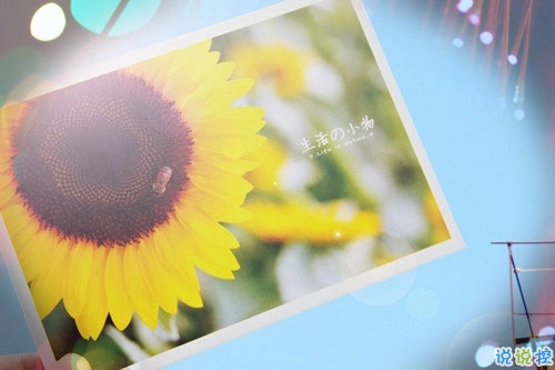 2019二月你好三月再見(jiàn)說(shuō)說(shuō)心情短語(yǔ) 三月請(qǐng)對(duì)我好一點(diǎn)唯美說(shuō)說(shuō)2