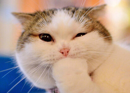 最新微信點開全文段子，朋友圈點開全文搞笑段子