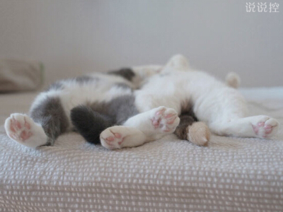 男生搞笑說(shuō)說(shuō)大全