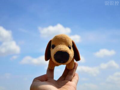 關(guān)于單身狗的說說，單身狗搞笑說說