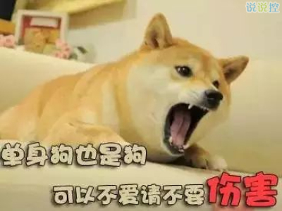 關(guān)于單身狗的說說，單身狗搞笑說說