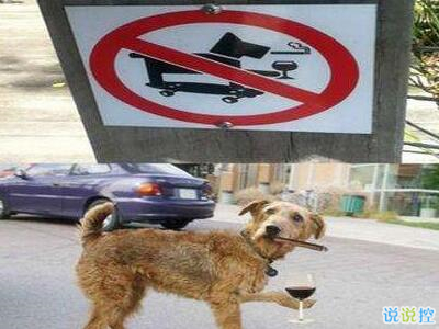 有趣值得的轉(zhuǎn)發(fā)的說說，朋友圈有趣的說說