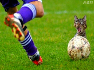 幽默搞笑的說說，幽默搞笑的段子