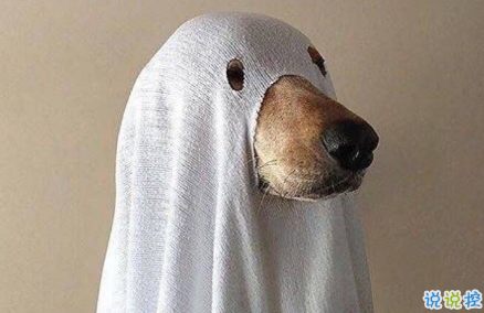 校園搞笑說說青春活力十足 生氣的時(shí)候千萬別沖我笑2