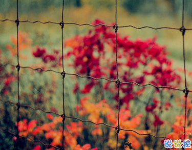 充滿陽光的簡短句子 鼓勵人的勵志說說心靈雞湯合集2