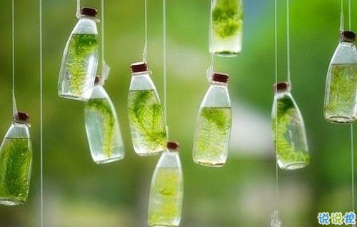 2019微信文藝傷感說說大全 27條戳心小短句傷透了心2