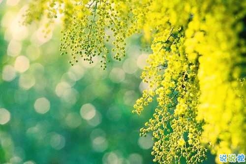 戀愛中寫給對象看的說說 2019最流行的情侶間情話真實浪漫2