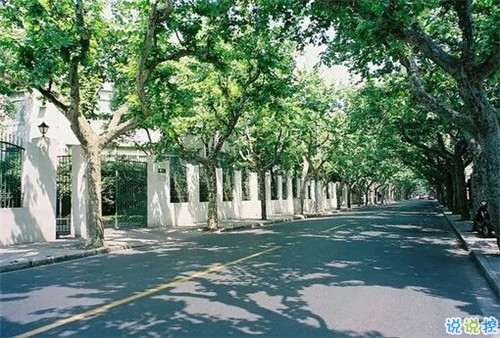 微信愛(ài)情說(shuō)說(shuō)大全心情句子 錯(cuò)過(guò)不是錯(cuò)了而是過(guò)了1