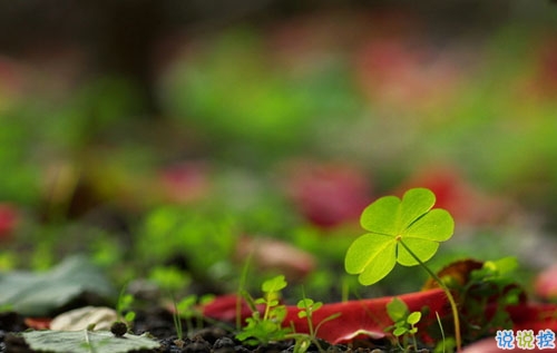 2019年元旦倒計時說說心情短語 元旦發(fā)微信朋友圈的經(jīng)典說說2