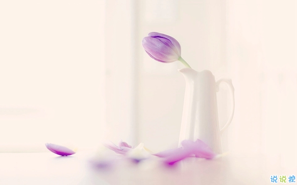 2019谷雨節(jié)氣經(jīng)典說(shuō)說(shuō)大全 谷雨朋友圈經(jīng)典語(yǔ)錄2