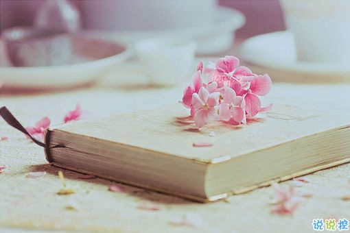 快手愛(ài)情語(yǔ)錄說(shuō)說(shuō)大全 快手說(shuō)說(shuō)句子熱門(mén)情話(huà)2