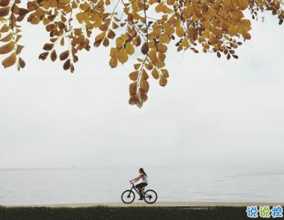 最新元旦個(gè)性說說2019要加油 拼搏道路上經(jīng)典的話語1