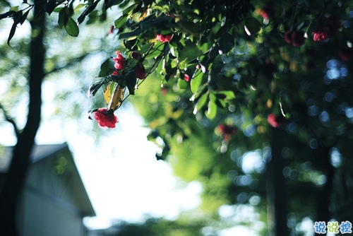 關(guān)于愛情很心酸的傷感說(shuō)說(shuō) 文藝范傷感愛情說(shuō)說(shuō)文字控喜歡的2