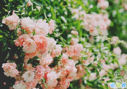 2019四月微信說說心情短語 四月你好一句話說說2