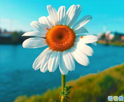 對(duì)愛情徹底死心的傷感說(shuō)說(shuō)2018 一句話讓人瞬間落淚的愛情說(shuō)說(shuō)2