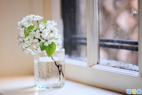 最能讓對(duì)方感動(dòng)的話很窩心 可愛(ài)呆萌的溫暖小情話1