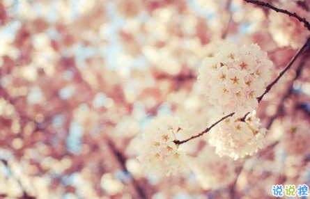 適合這個(gè)年紀(jì)發(fā)的說(shuō)說(shuō)朋友圈 簡(jiǎn)單又走心的心情說(shuō)說(shuō)引人共鳴1