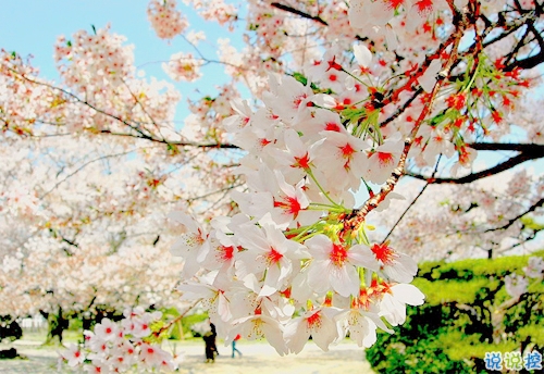 一句話描述90后的生活和心理狀態(tài) 90后對生活無奈的心情說說1