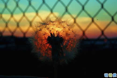 30條有道理的經(jīng)典說說 簡(jiǎn)短但是道理深刻的句子大全1