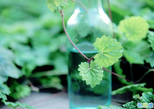 關于你我之間的愛情的說說 提到感情有些無措的愛情說說2