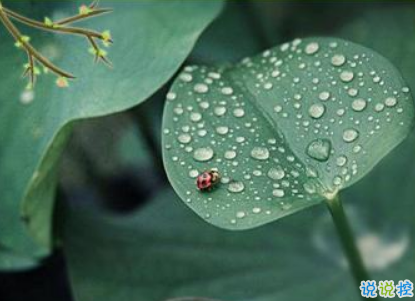 2019谷雨節(jié)氣朋友圈早安心語 谷雨美好心情說說2