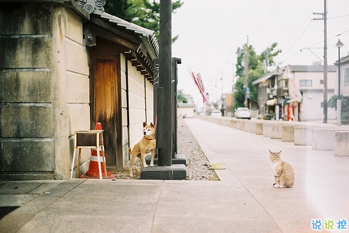 愛(ài)讓人疲憊不堪的說(shuō)說(shuō)心好累 離開(kāi)一個(gè)人不舍的傷感說(shuō)說(shuō)2