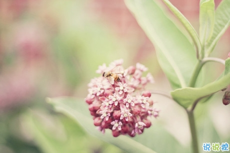 很特別適合女生的個(gè)性說(shuō)說(shuō)大全 朋友圈女生簡(jiǎn)單有氣質(zhì)的話語(yǔ)1