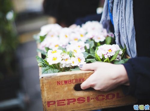 很經(jīng)典唯美的說(shuō)說(shuō)適合摘抄 一句話寫(xiě)滿了少女心事的說(shuō)說(shuō)2