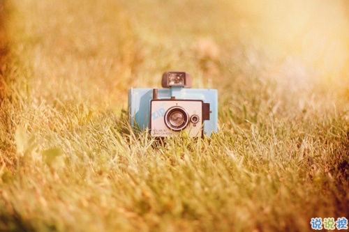 一句話來證明你是單身狗 2019最新單身狗專屬搞笑說說1